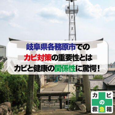 岐阜県各務原市でのカビ対策の重要性とは　カビと健康の関係性に驚愕！